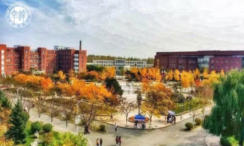 玉黄山椹固体饮料真能治病吗-玉黄山椹的功效-专业玉黄山椹适合什么人吃平台-玉黄山椹的食用方法